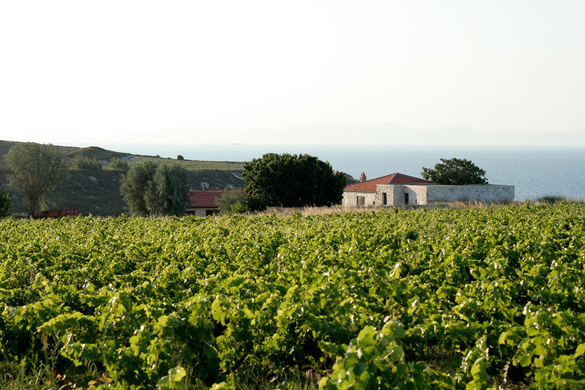 Bozcaada’nın Doğal Yapısı ve Çevresi